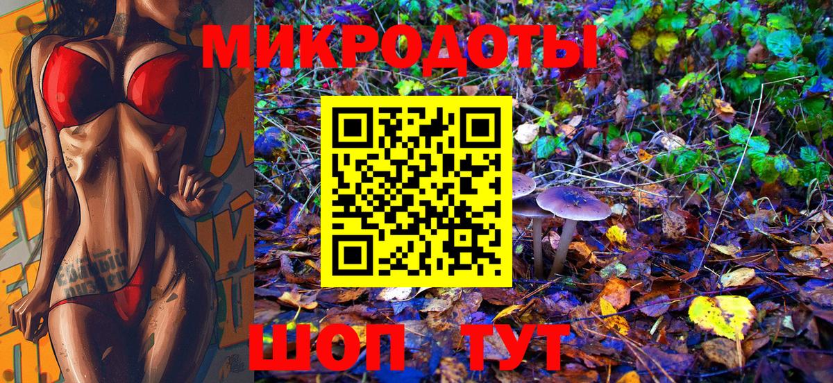 Псилоцибиновые грибы Psilocybe Электросталь