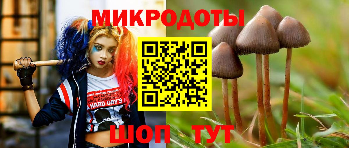 Электросталь  Псилоцибиновые грибы Psilocybe  Псилоцибиновые грибы Psilocybine cubensis  Вход с VPN 